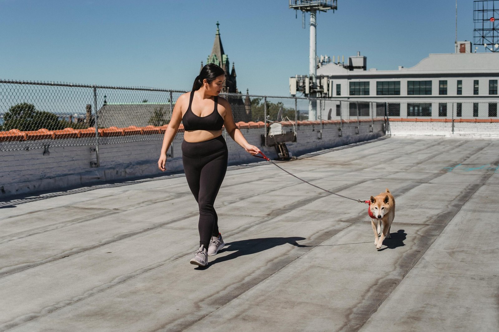 Correr com o cachorro: benefícios e cuidados para começar