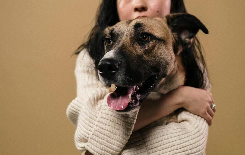 Studio shot of a mixed breed dog being embraced by a woman, showing affection and companionship.